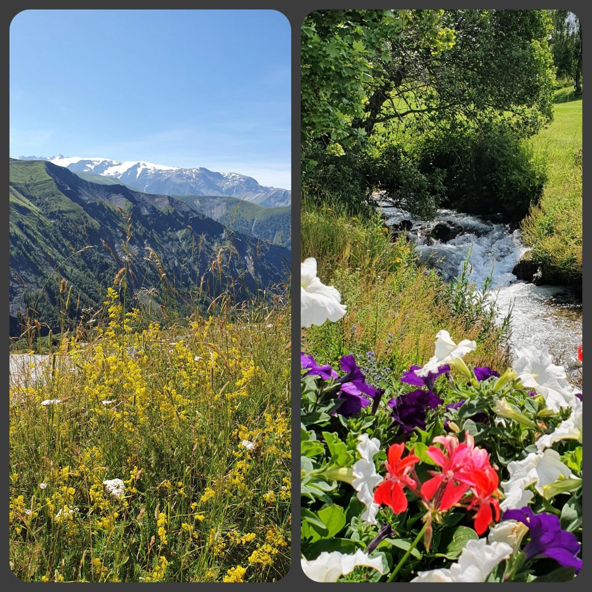 *Nouveau* Pied Des Pistes * Piscine Ext. Chauffee* 拉普德兹 外观 照片